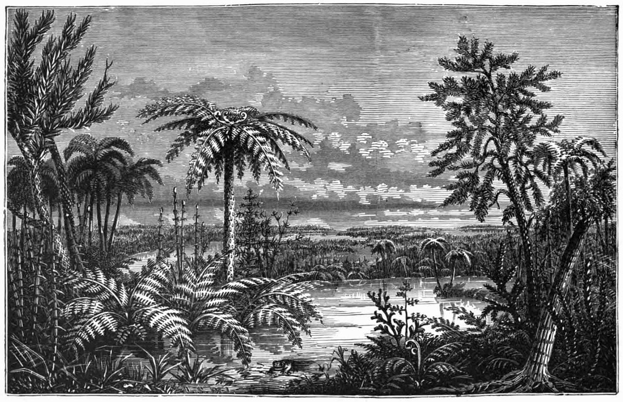 Illustration of Carboniferous landscape in black and white.