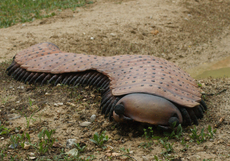 Reconstruction of Arthropleura